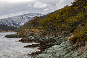 Tierra del Fuego National Park with wilderness and rugged coastline, Argentina
