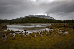 Tundra Tierra del Fuego National Park, Argentina