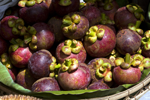 Mangostan Früchte, Bali