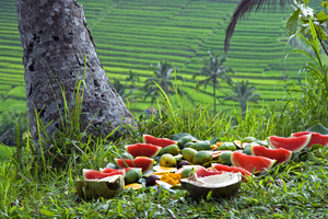 Reisterrassen und Früchte, Bali