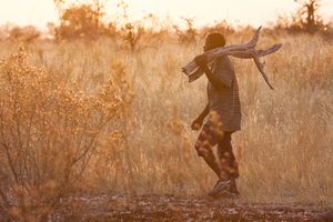 Man collecting firewood, carrying on shoulder, Botswana
