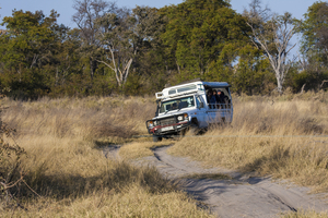On the road with jeep in Moremi, Safari, Botswana