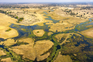 Branched Okavango Delta from above, Botswana