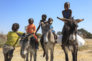 Bushman children sitting on donkey, Botswana