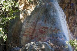 Rock painting, Tsodilo Hills, Botswana