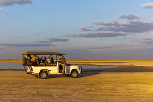 Jeep in Nata Bird Sanctuary, Botswana