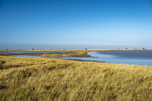 Lake in Nata Bird Sanctuary, Botswana
