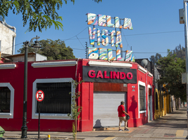 Stadtviertel Bella Vista, Santiago, Chile