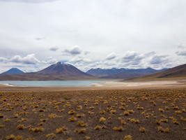 Hochlandlagunen Atacama Wüste, Chile