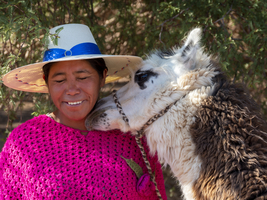 Indigene Frau der Atacameño Minderheit mit Lama, Atacama Wüste, Chile