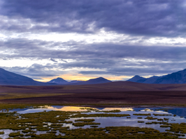Hochland Landschaft mit Tundra und Lagunen, Atacama Wüste, Chile