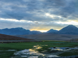 Hochland Landschaft mit Tundra und Lagunen, Atacama Wüste, Chile