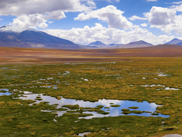 Hochland Landschaft mit Tundra, Bergen und Lagunen, Atacama Wüste, Chile