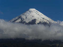 Vulkangipfel über den Wolken, der schneebedeckte Vulkan Osorno, Chile