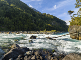 Wilder Fluss zwischen Felsen und Wäldern, Saltos del Rio Petrohué, Region Llanquihue, Chile