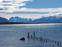 Blick von Puerto Natales über glitzerndes Wasser zum Nationalpark Torres del Paine, Patagonien, Chile