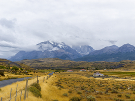 Straße und gelbe Graslandschaft zum Nationalpark Torres del Paine, Patagonien, Chile