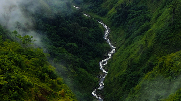 River in a jungle canyon, Costa Rica
