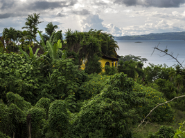 Villa in the jungle, Costa Rica, Central America