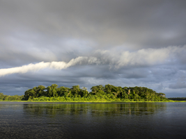 Island in Tortuguero National Park, river and island, Costa Rica