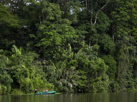 Tortuguero National Park, Costa Rica, Central America