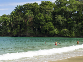 Caribbean beach with jungle, Costa Rica, Central America