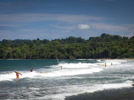 Caribbean Beach, Cocles, Puerto Viejo, Costa Rica