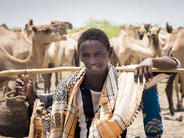 Shepherd and nomad with camels, Ethiopia, Africa