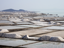 Salt extraction at Afrera Salt Lake, Danakilsenke, Ethiopia, Africa