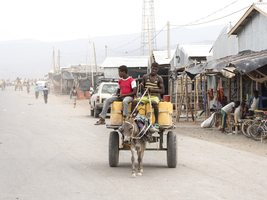 Donkey cart on dusty road, Afar, Ethiopia, Africa
