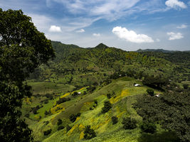 Green mountain landscape near Semien Mountains, Ethiopia, Africa