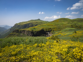 Mountain landscape with yellow flowering meadows, Semien National Park, Ethiopia, Africa