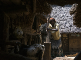 Woman stamping rice in the village, Konso tribe, Ethiopia, Africa