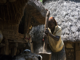 Frau beim Reis stampfen im Dorf, Volksstamm der Konso, Äthiopien, Afrika  Woman stamping rice in the village, Konso tribe, Ethiopia, Africa
