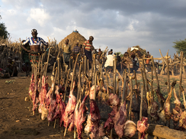 Villagers from the Hamar tribe slaughtered goats, Omo region, Ethiopia, Ethiopia, Africa