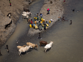 People and cattle by the river, Ethiopia, Africa