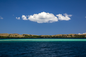 In Komodo National Park, Flores, Indonesia
