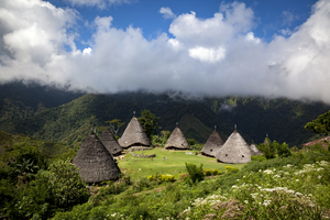 The old village of Wae Rebo in the mountains, Flores, Indonesia