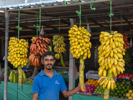 Obststand mit Bananenstauden und Verkäufer, Sri Lanka