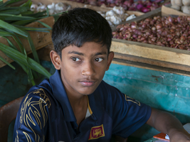 Singhalesischer Junge, asiatische Augen, Porträt, Sri Lanka, Sri Lanka