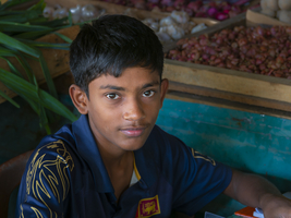 Singhalesischer Junge, asiatische Augen, Porträt, Sri Lanka, Sri Lanka