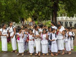 Gruppe Schulkinder, Mädchen und Jungen in weißer Schulkleidung, Dambulla, Sri Lanka