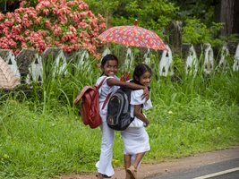 Schulkinder, Mädchen in weißer Schulkleidung mit Regenschirm, Dambulla, Sri Lanka