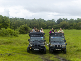 Besucher auf Geländewagen im Minneriya National Park, Sri Lanka