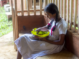 Singhalesisches Schulmädchen beim essen mit Fingern, Sri Lanka