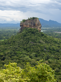 Sigiriya Felsen in grüner Landschaft, Sri Lanka