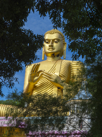 Sitzender Buddha, goldener Tempel, Dambulla, Sri Lanka