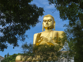 Sitzender Buddha, goldener Tempel, Dambulla, Sri Lanka