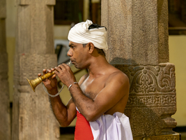 Mann mit Blasinstrument, Zahntempel, Sri Dalada Maligawa, Kandy, Sri Lanka