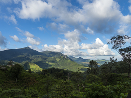 Knuckles Gebirge, Meemure, Sri Lanka